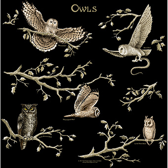 Owls Bandana, made by The Printed Image -