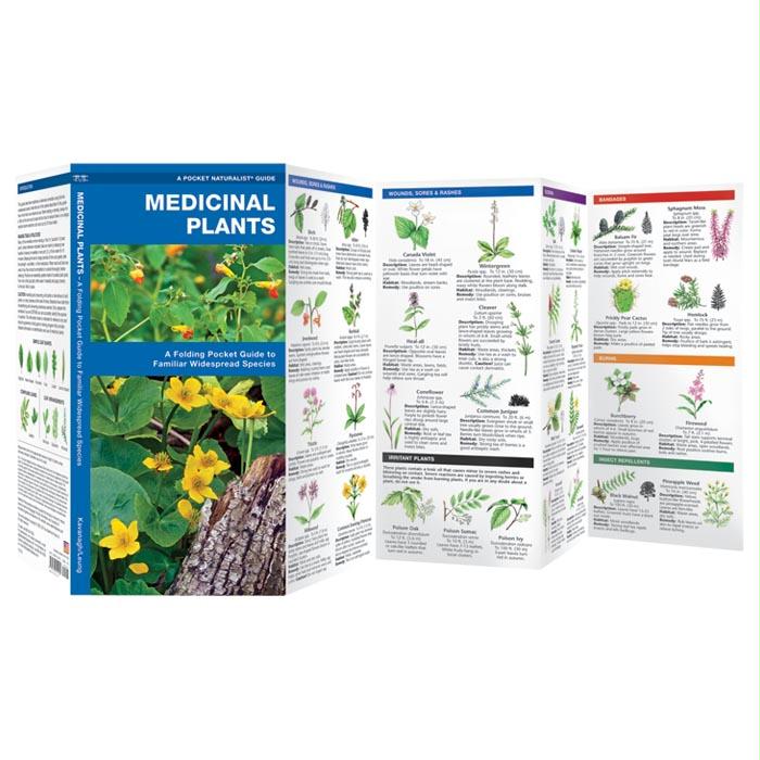 Medicinal Plants, made by Waterford Press -