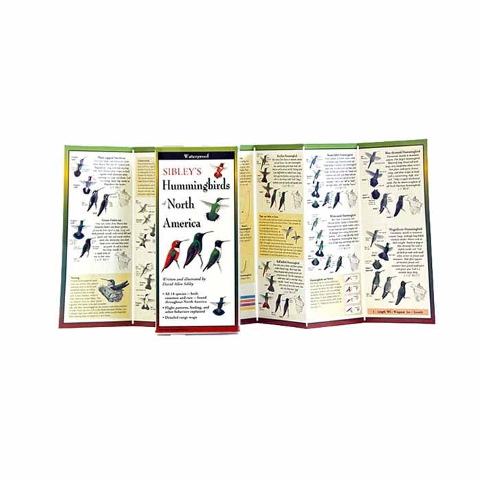 Sibley'S Hummingbirds Of Na, made by EARTH SKY+WATER - Sibley'S Hummingbirds Of Na, made by EARTH SKY+WATER -