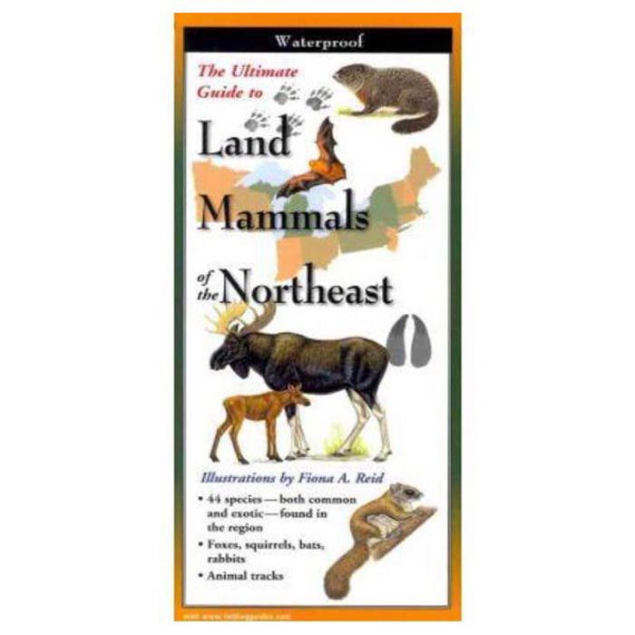 Land Mammals Of The Northeast, made by EARTH SKY+WATER -