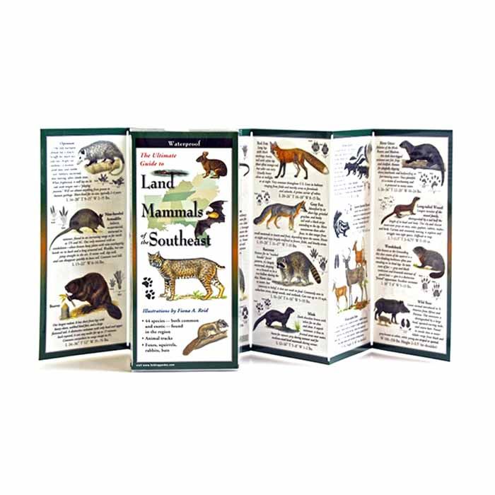 Land Mammals Of The Southeast, made by EARTH SKY+WATER -