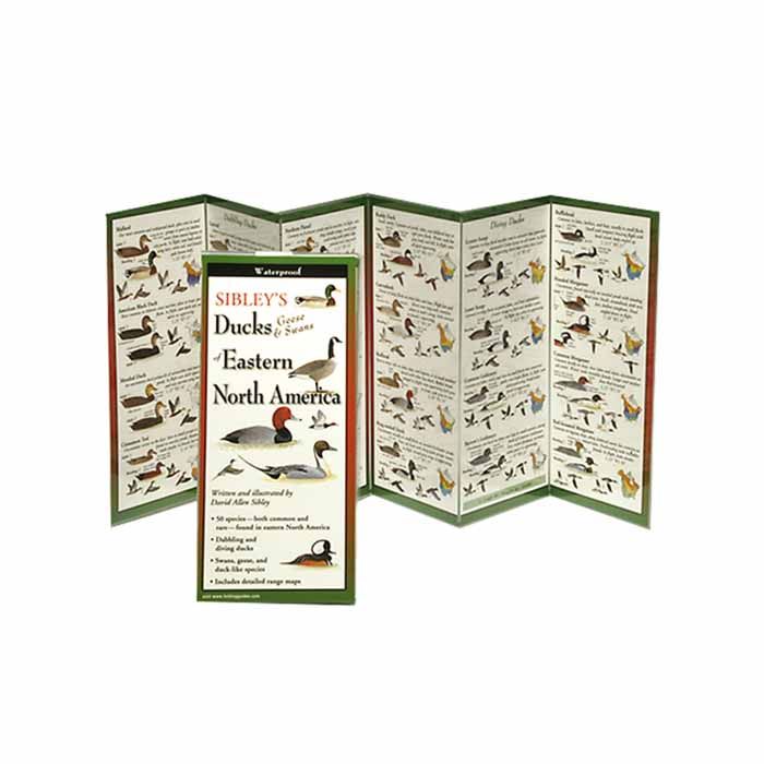 Sibley'S Ducks Geese Swan East, made by EARTH SKY+WATER - Sibley'S Ducks Geese Swan East, made by EARTH SKY+WATER -