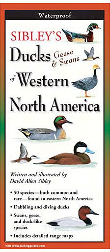 Sibley'S Ducks Geese Swan West, made by EARTH SKY+WATER - Sibley'S Ducks Geese Swan West, made by EARTH SKY+WATER -
