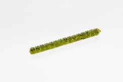 Zoom Centipede 4" 20/bag Watermelon Seed, made by Zoom Baits - Zoom Centipede 4" 20/bag Watermelon Seed, made by Zoom Baits -