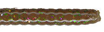 Net Bait C-Mac 11" 9bg Green Pumpkin Candy, made by NetBait - Net Bait C-Mac 11" 9bg Green Pumpkin Candy, made by NetBait -