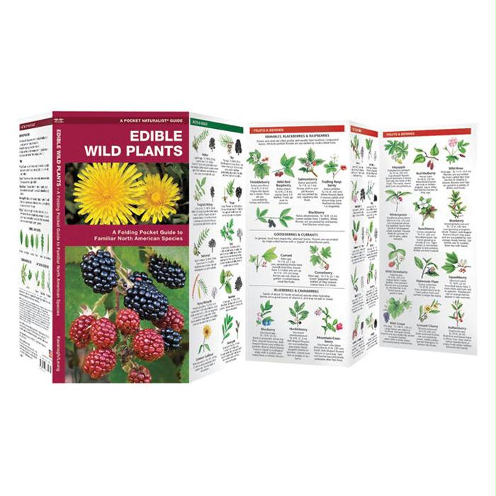 Edible Wild Plants Book, made by Waterford Press - Edible Wild Plants Book, made by Waterford Press -