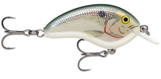 Rapala Ott Garage Tiny 4' 5/16 2.25" Big Shad, made by Rapala Baits - Rapala Ott Garage Tiny 4' 5/16 2.25" Big Shad, made by Rapala Baits -