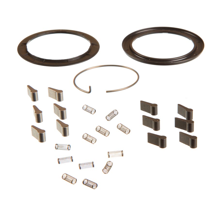 ZM2 Spring and Pawl Set, made by Zipp - 11.2018.070.000