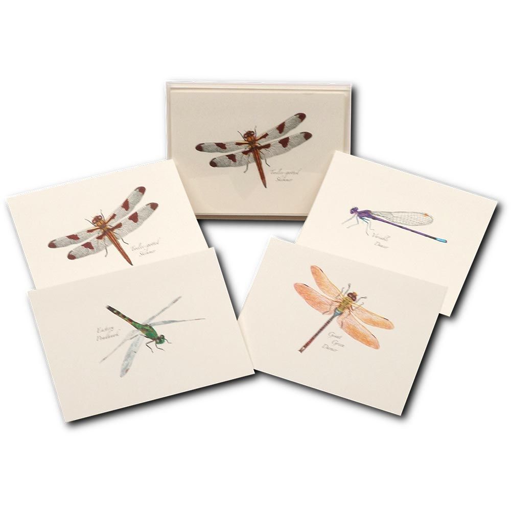 Dragonfly Notecards, made by EARTH SKY+WATER -