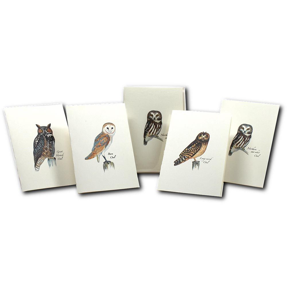 Owl Notecards, made by EARTH SKY+WATER - Owl Notecards, made by EARTH SKY+WATER -