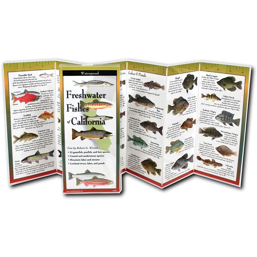 Folding Guide Fish California, made by EARTH SKY+WATER -