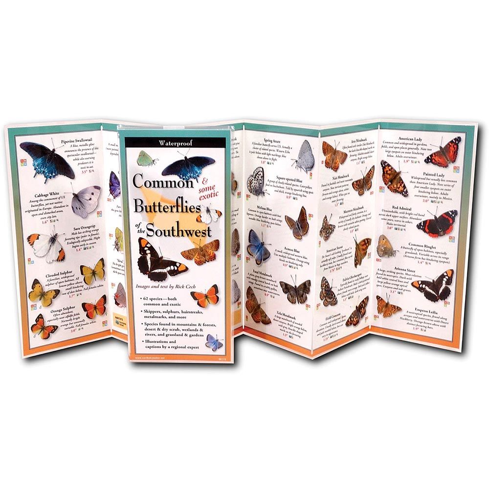 Butterflies Southwest Guide, made by EARTH SKY+WATER -