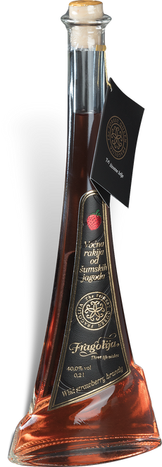 556_0000_Layer-4 556_0000_Layer-4