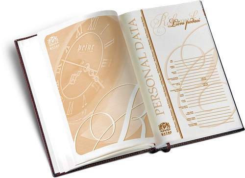 800. Diary B5 business (2)