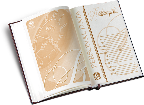 800. Diary B5 business (2)