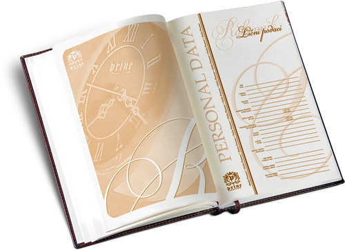 800. Diary B5 business (2)