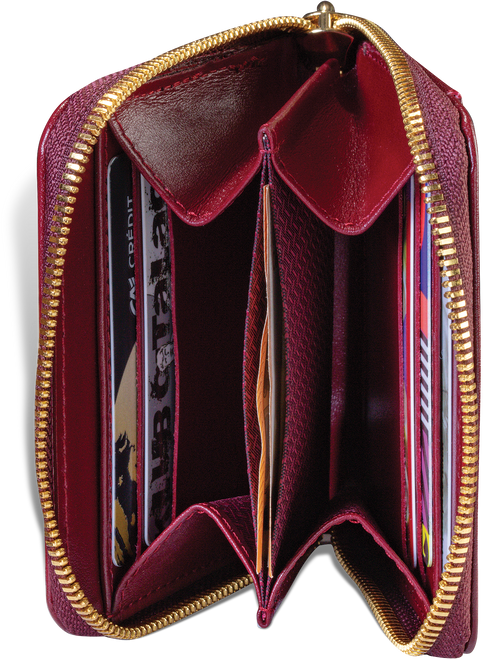 389—glavna_0003_Shadow—–(modified)