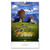 NATURE 02 Wall calendar: 7 sheets, bimonthly