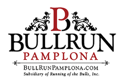 Bull Run Pamplona