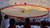 bullfight seat shaded