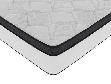 Bedford 12" Euro Plush - BIB