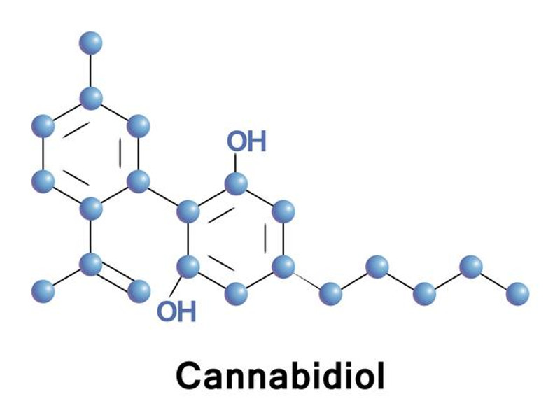 The CBD Industry is misinforming YOU. | Must read! The CBD Industry is misinforming YOU. | Must read!