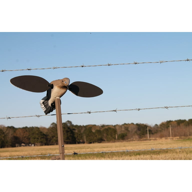 MOJO Voodoo Dove Decoy - Thumbnail 3