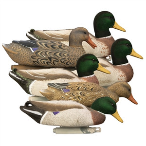 SH137328 Higdon Decoys Magnum Mallard Flocked Heads Duck Decoys - 6pk Nexgen Outfitters SH137328 Higdon Decoys Magnum Mallard Flocked Heads Duck Decoys - 6pk Nexgen Outfitters