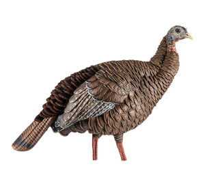 Avian-X HDR Hen Turkey Decoy Nexgen Outfitters