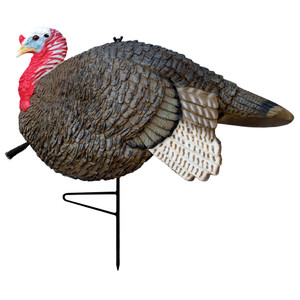 KN73125 Primos Gobbstopper Jake Turkey Decoy Nexgen Outfitters KN73125 Primos Gobbstopper Jake Turkey Decoy Nexgen Outfitters