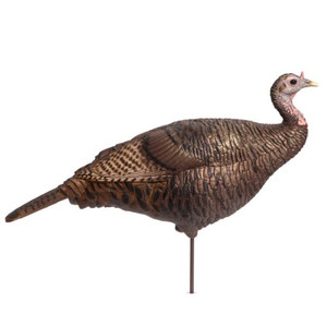 Dave Smith Decoy Leading Hen Turkey Decoy Nexgen Outfitters Dave Smith Decoy Leading Hen Turkey Decoy Nexgen Outfitters