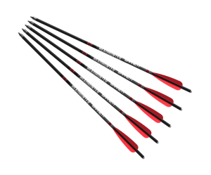 Barnett Head Hunter Bolts Carbon 22 in. 5 pk. Nexgen Outfitters Barnett Head Hunter Bolts Carbon 22 in. 5 pk. Nexgen Outfitters