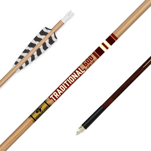 Gold Tip Traditional Classic XT Arrows 500 4 in. Feathers 6 pk Nexgen Outfitters Gold Tip Traditional Classic XT Arrows 500 4 in. Feathers 6 pk Nexgen Outfitters