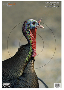 SH85418 Birchwood Casey Pregame Targets - Turkey, 12" x 18" Target (Per 8) Nexgen Outfitters SH85418 Birchwood Casey Pregame Targets - Turkey, 12" x 18" Target (Per 8) Nexgen Outfitters