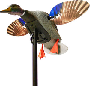 MOJO Elite Series Mini Mallard Drake Motion Duck Decoy Nexgen Outfitters MOJO Elite Series Mini Mallard Drake Motion Duck Decoy Nexgen Outfitters