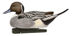 Avian X Power Swimmer Pintail Drake Motion Duck Decoy Avian X Power Swimmer Pintail Drake Motion Duck Decoy