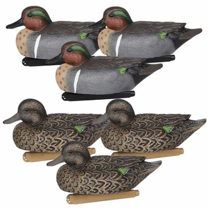 Zink Calls Green-Wing Teal Floater Duck Decoy - 6pk Nexgen Outfitters
