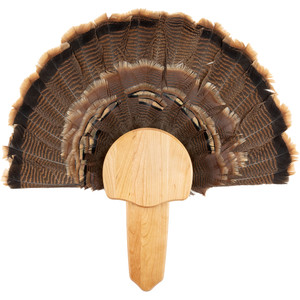 Walnut Hollow Cherry Turkey Mount Kit Nexgen Outfitters Walnut Hollow Cherry Turkey Mount Kit Nexgen Outfitters
