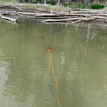 Beginner's Guide to Bowfishing - Nexgen Outfitters