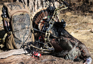 Looking for the best hunting pack? Choose the Nexgen Outfitters Whitetail Caddy Looking for the best hunting pack? Choose the Nexgen Outfitters Whitetail Caddy
