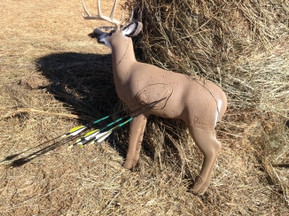 Now is the time to prepare for fall hunting seasons