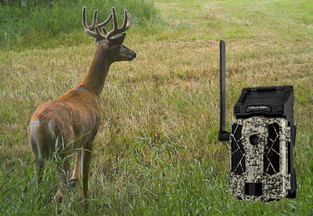 Scouting Trail Camera Buyers Guide - Nexgen Outfitters