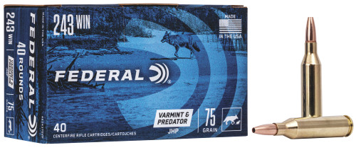 Federal American Eagle Varmint & Predator .243 Winchester 75gr Jacketed Hollow Point 40Rnd Rifle Ammunition Nexgen Outfitters