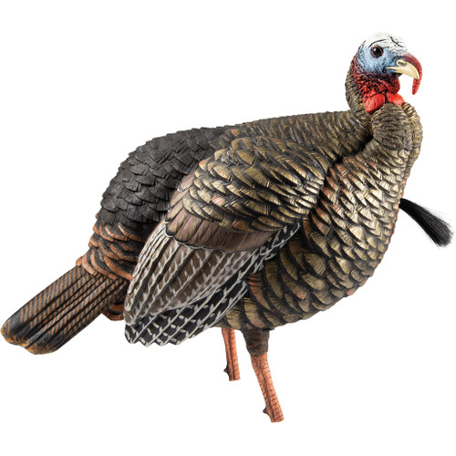 KN87477 Avian-X HDR Jake Turkey Decoy Nexgen Outfitters