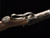 Winchester 1886 Deluxe 45-70 Gov. 24" Blued Bbl/Case Hardened Receiver Black Walnut Stock Nexgen Outfitters