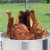King Kooker Portable Propane Outdoor Deep Frying/Boiling Package with 2 Pots