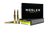 Nosler Ballistic Tip .280 Ackley 140gr Poly-Tip Boat Tail 20Rnd Rifle Ammunition Nexgen Outfitters Nosler Ballistic Tip .280 Ackley 140gr Poly-Tip Boat Tail 20Rnd Rifle Ammunition Nexgen Outfitters
