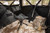 Alps OutdoorZ Triad Tripod Chair hunting
