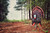 MOJO Scoot-N-Shoot Max Turkey Decoy hunting MOJO Scoot-N-Shoot Max Turkey Decoy hunting