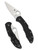 Spyderco Delica 4 Lightweight Flat Ground Knife - FRN Black Nexgen Outfitters